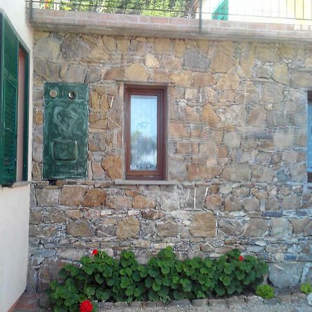 شقة كاسارزا ليغير  في Olivella Caminata N 41G المظهر الخارجي الصورة